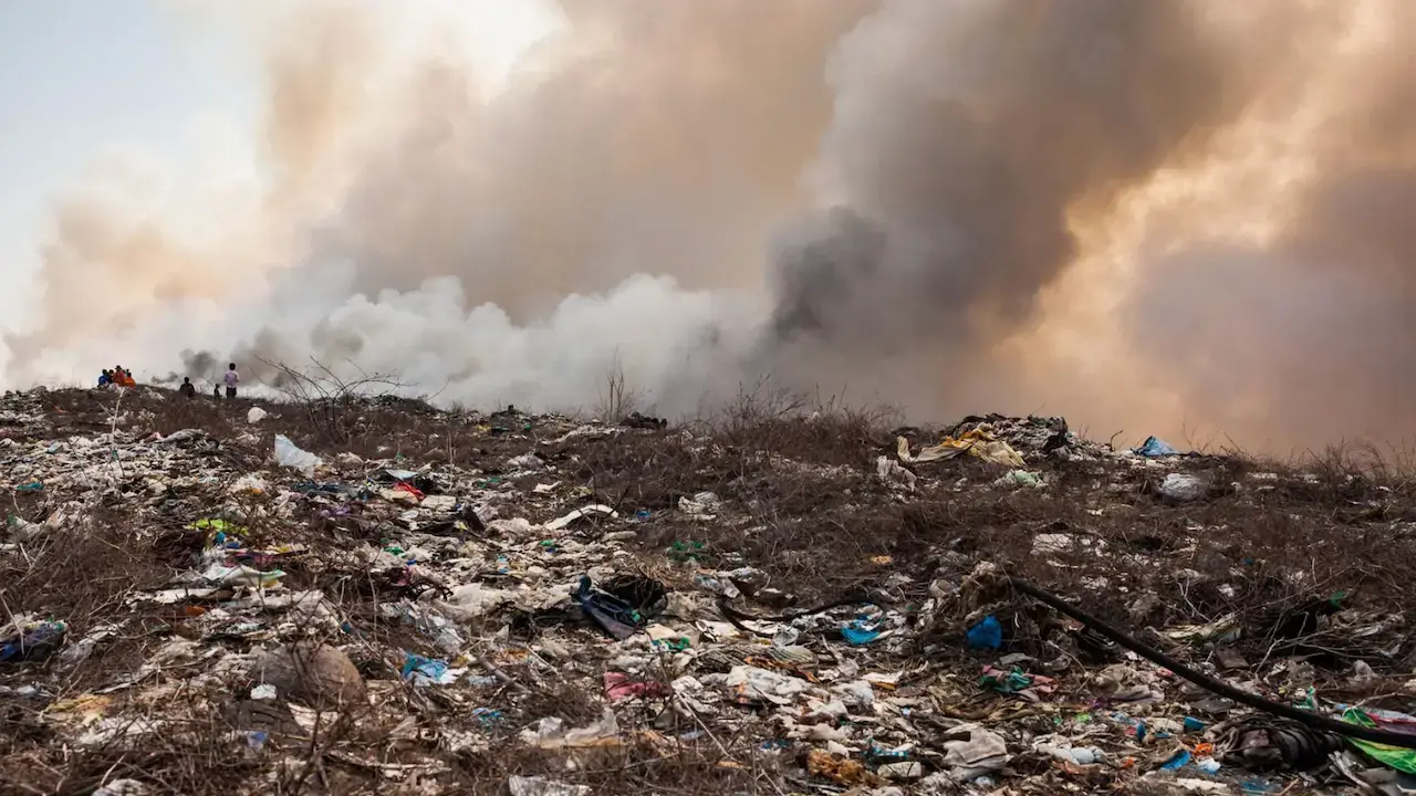 Rapporto Ecomafia 2026: nel Lazio 2.358 ecoreati in un anno