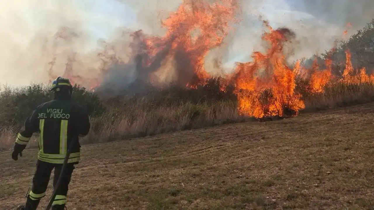 Incendio a Civitavecchia: vasto rogo di sterpaglie in via Moneta