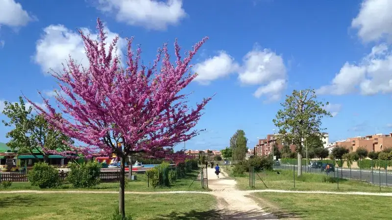 Madonnetta: “Dopo bando deserto ora dieci milioni, parco ridotto a cantiere di promesse”
