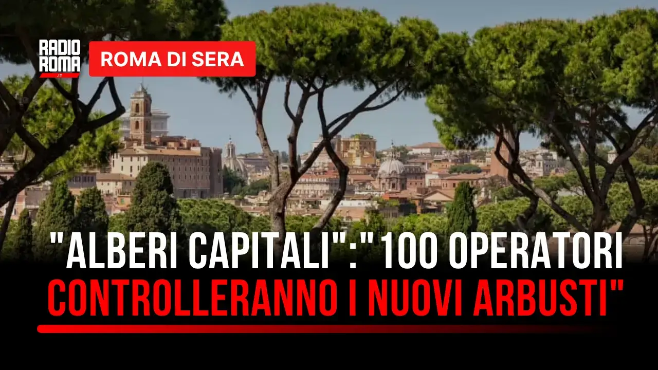 Roma, piano alberature: 20.000 nuovi alberi entro aprile 2027, il punto con Palmieri a Roma di Sera