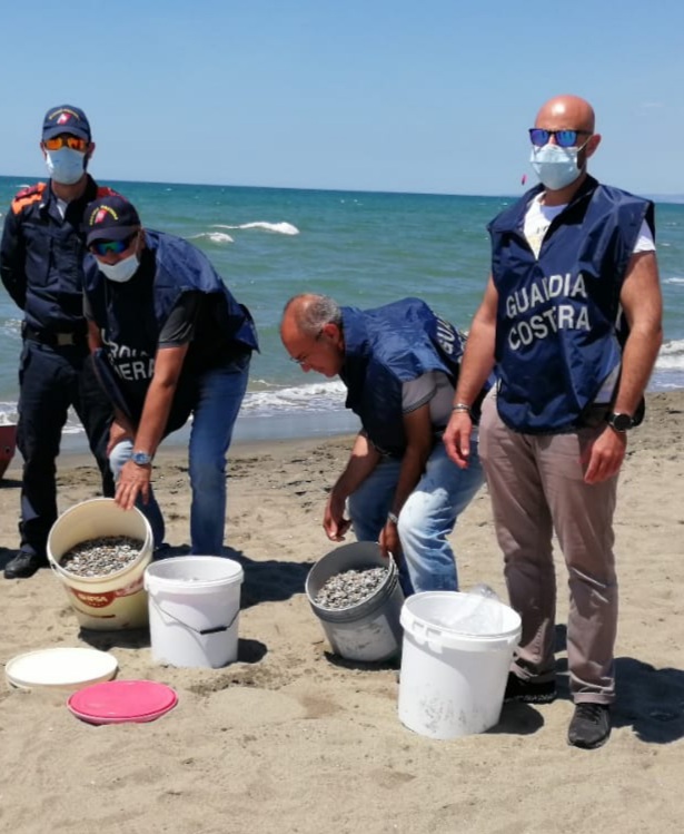 Fiumicino, 60 kg di telline sequestrate sulle spiagge di Fregene