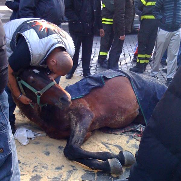 Roma, Campidoglio: stop "botticelle" con temperature sopra i 30°