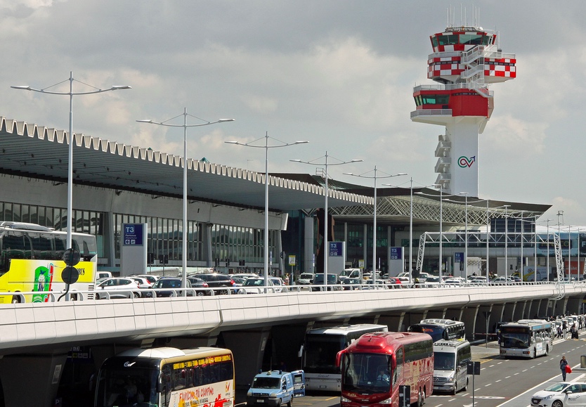 Fiumicino, pesci esotici e specie in via d'estinzione intercettati in aeroporto