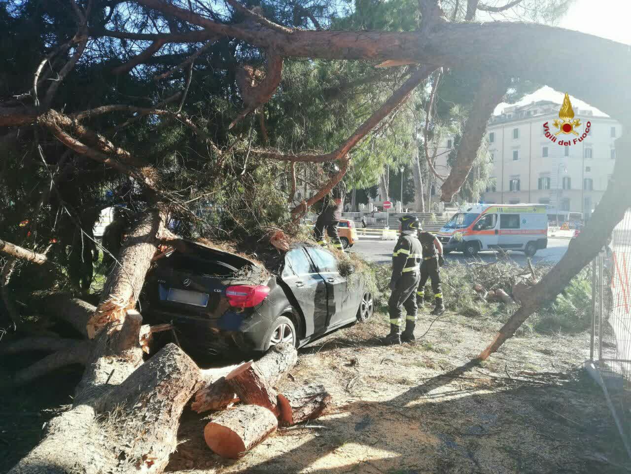 Roma, pino crolla su auto in piazza Venezia: 51enne in ospedale