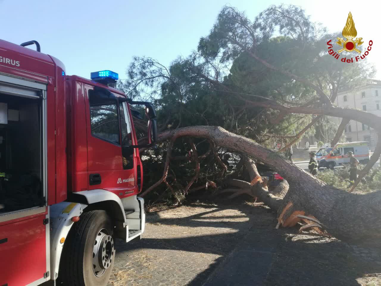 Maltempo, allagamenti e alberi caduti: 40 interventi nella notta a Roma