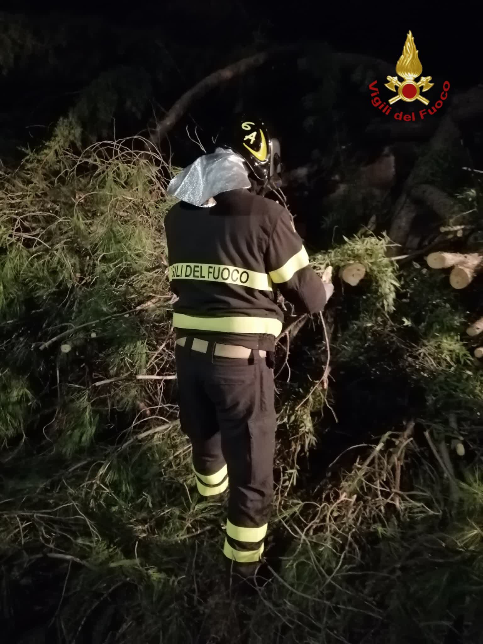Maltempo, allagamenti e alberi caduti a Roma: oltre cento interventi