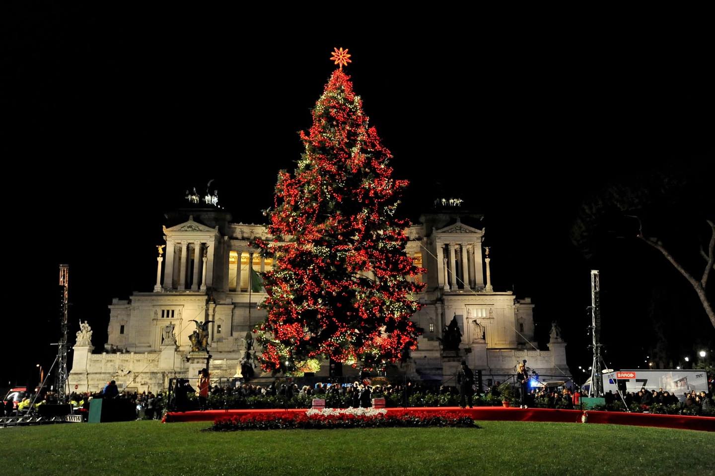 Roma, Spelacchio torna a piazza Venezia: al via allestimento da 140mila euro
