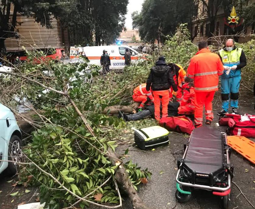 Roma, albero crolla sulla Tiburtina: colpiti padre e figlio di 10 anni in monopattino