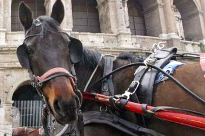 Roma, ok da Assemblea Capitolina: botticelle solo nei parchi. Animalisti: Raggi doveva abolirle