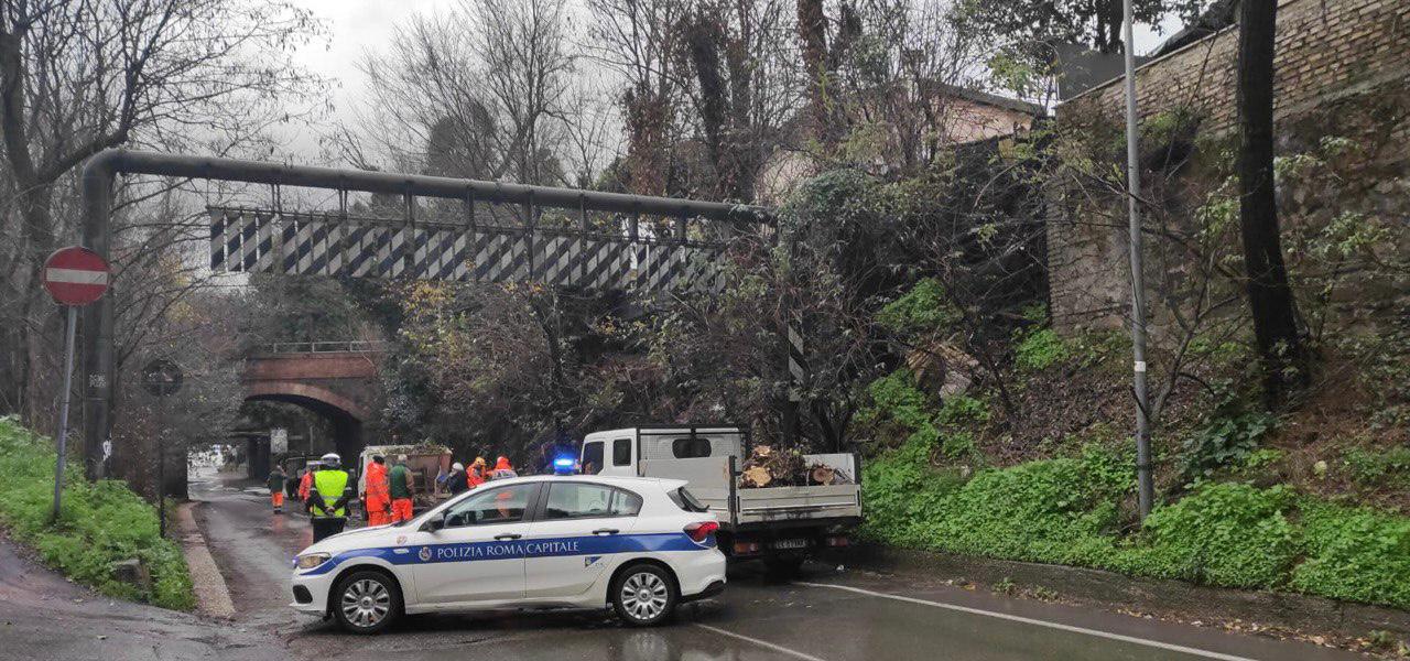 Maltempo Roma, albero crolla in via di Porta Furba: strada chiusa