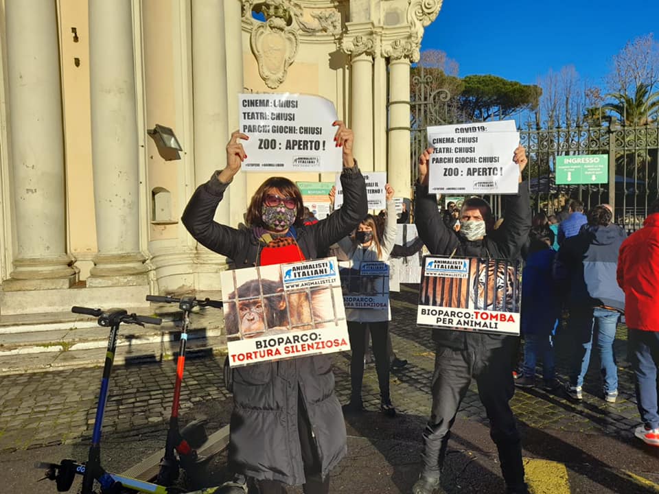 Vladimir Luxuria protesta con gli animalisti al Bioparco di Roma: tutto chiuso ma lo zoo riapre