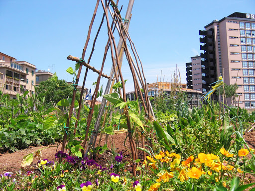 Orti urbani, nella capitale richieste a pioggia ma liste d'attesa lunghe