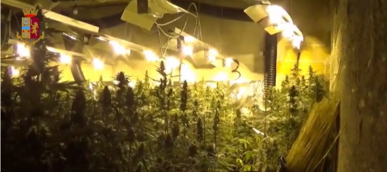Frosinone, maxi serra di marijuana nel seminterrato del casolare: sequestrate 1.400 piante