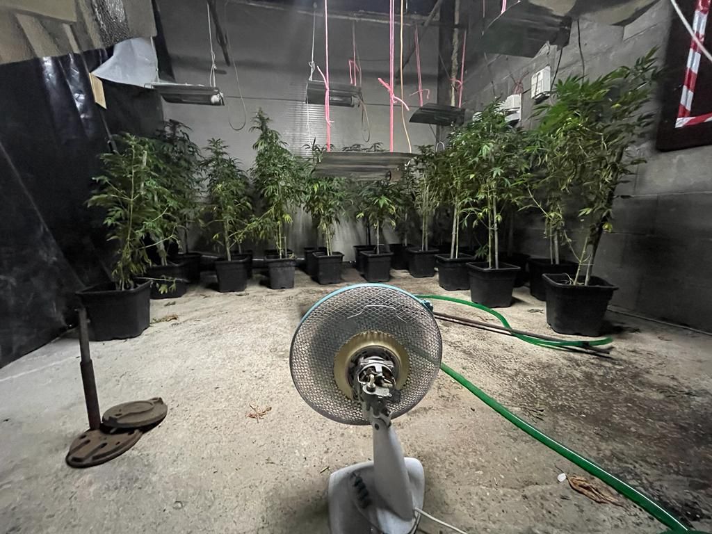 Roma, allestiscono una piantagione di marijuana nel capannone: arrestati due fratelli