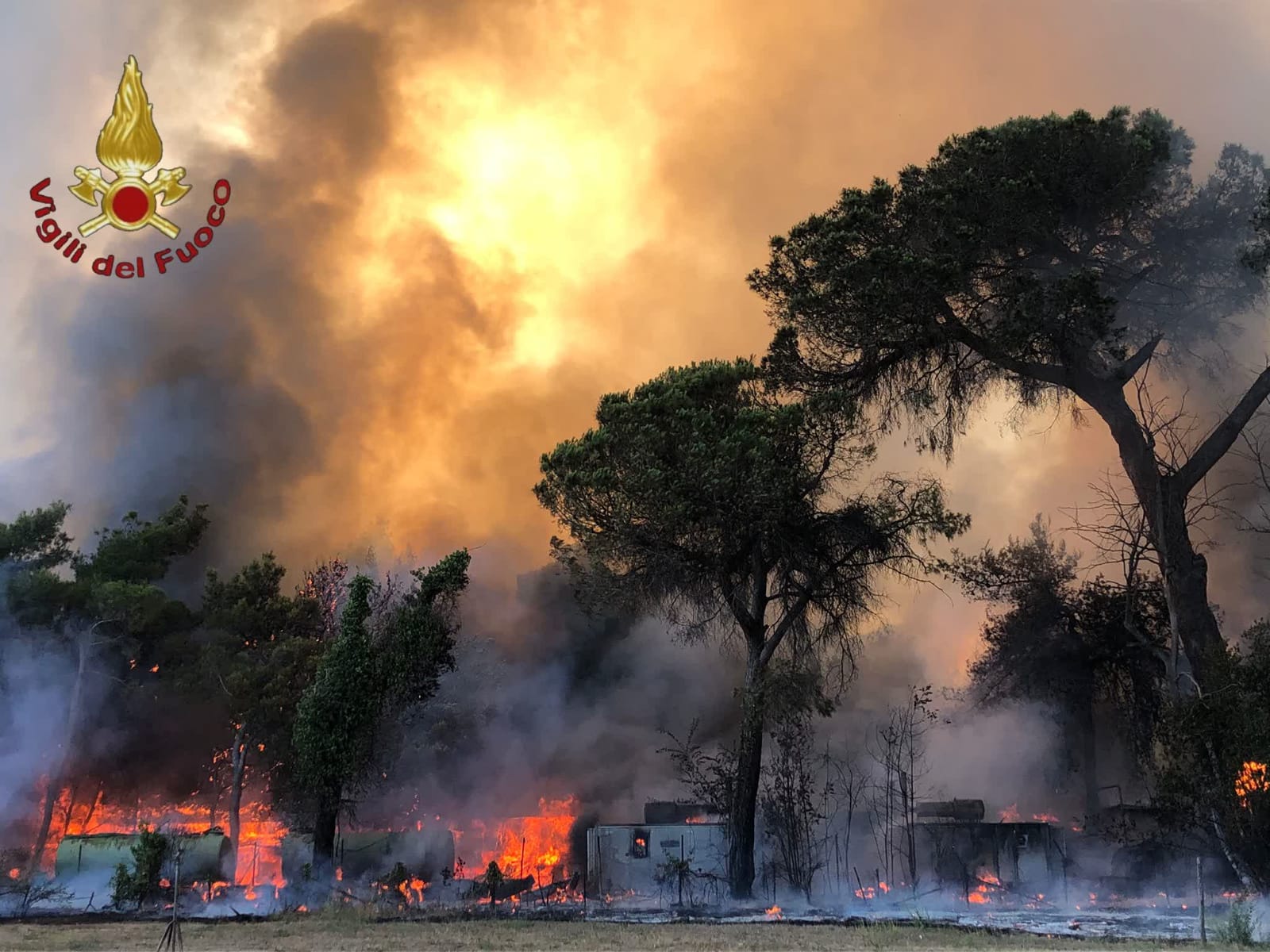 Ostia, incendio pineta Castel Fusano: si indaga per ipotesi dolosa