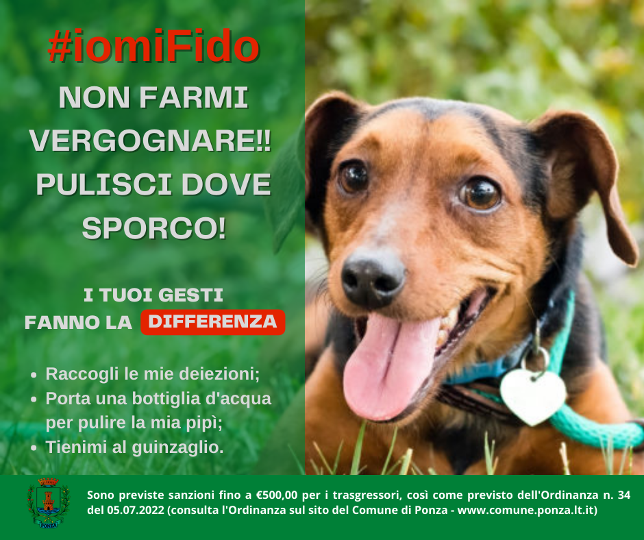 A Ponza obbligo bottiglietta durante la passeggiata con il cane: multa per chi non pulisce la pipì