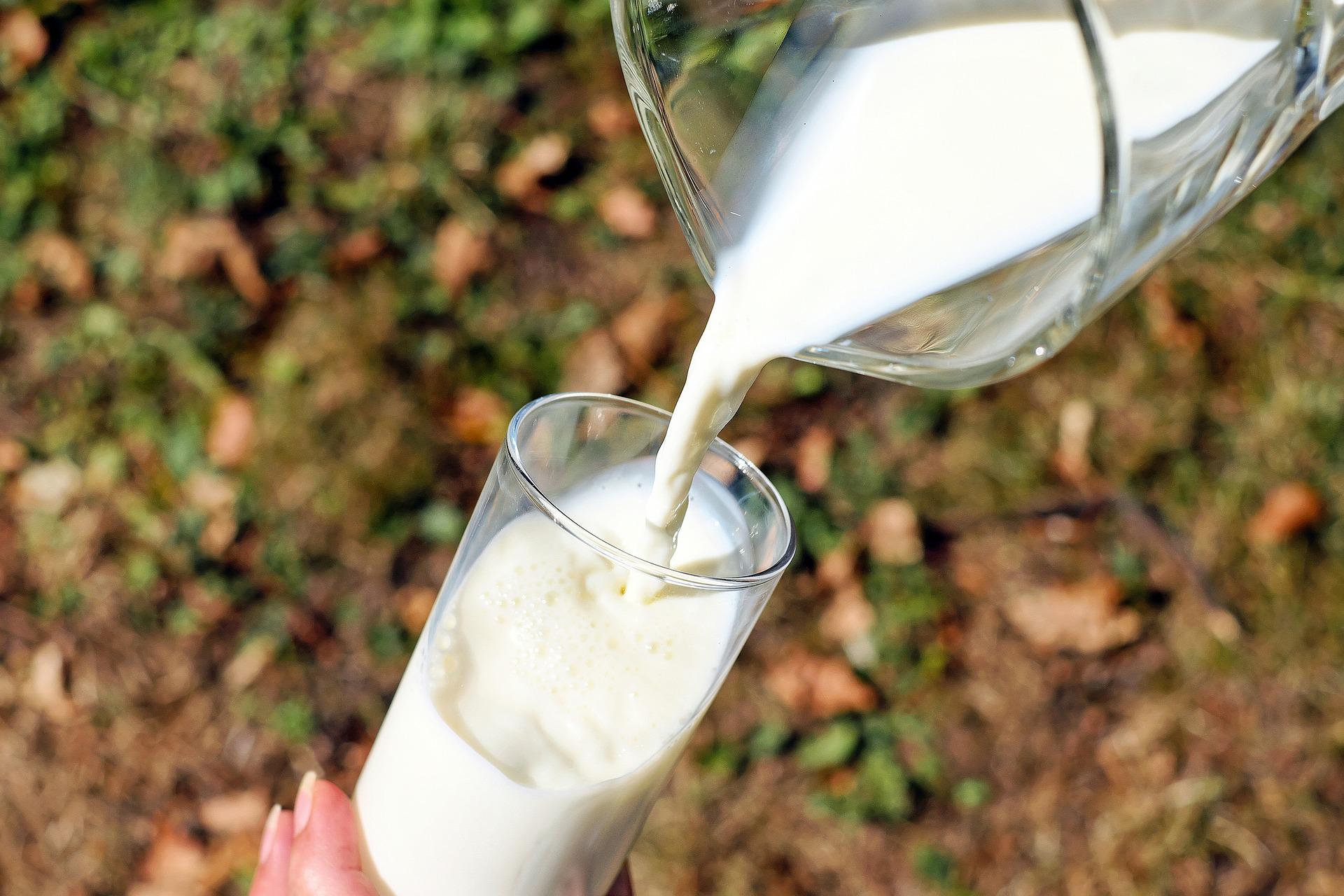 Caldo, i danni delle alte temperature alla produzione del latte