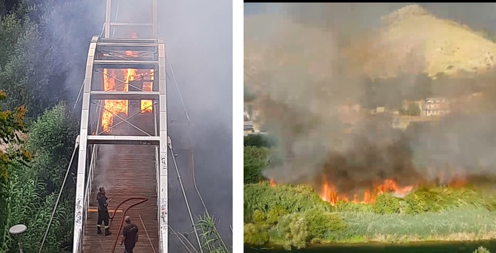 Tivoli, incendio Ponte della Pace: Comune al lavoro per individuare proprietari dei terreni incolti