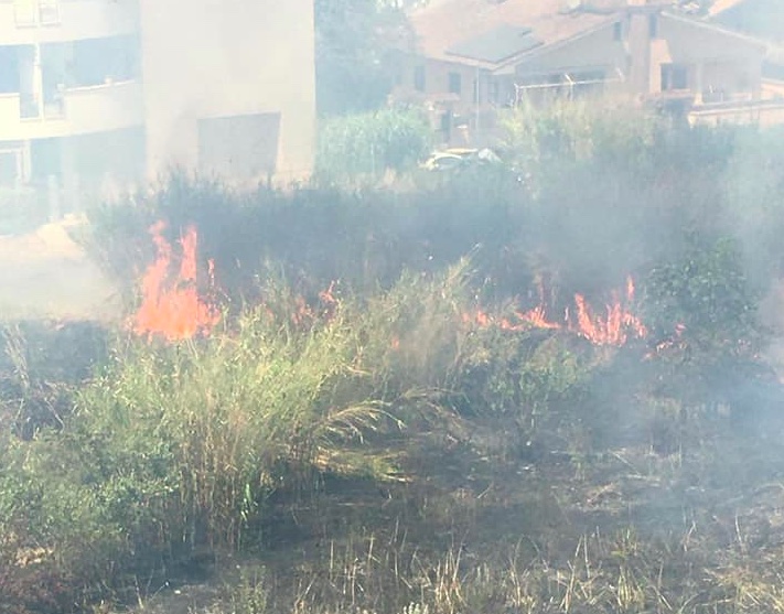 Municipio VI, Franco: "Per emergenza incendi chiedo task force Esercito"