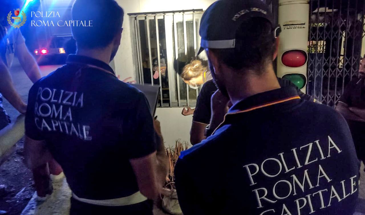 Roma, chiusi a 38° senza acqua né cibo: salvati 3 cani. Denunciato il proprietario