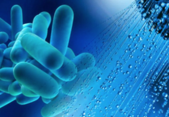 Legionella, allarme a Palermo: che cos'è e dove sono i contagi