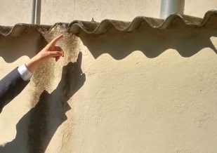 "Amianto in una scuola a Roma": l'Osservatorio nazionale presenta esposto in procura
