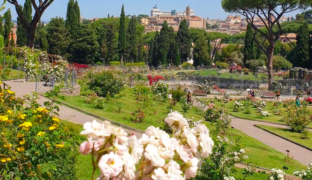 Il Roseto di Roma riapre al pubblico per la fioritura autunnale: ecco le rose con "effetti speciali"