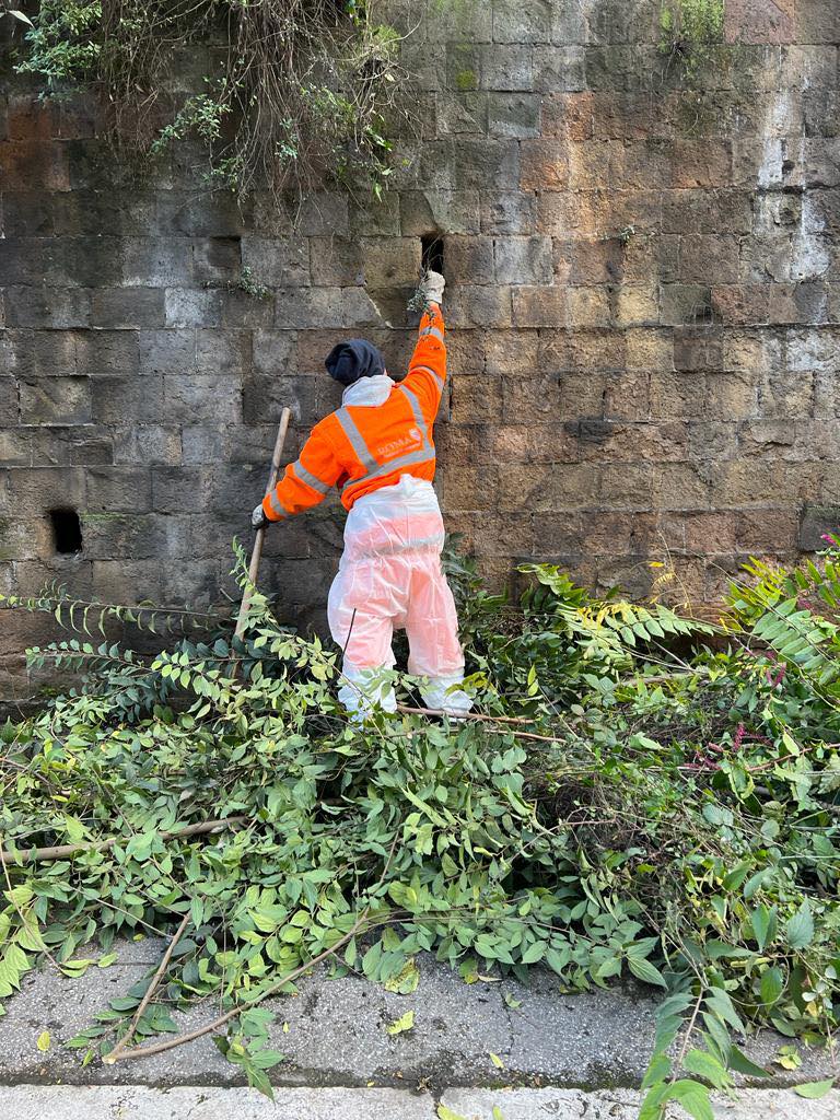 Maxi operazione di pulizia a Muro Torto. Gualtieri: "Andiamo avanti senza sosta”