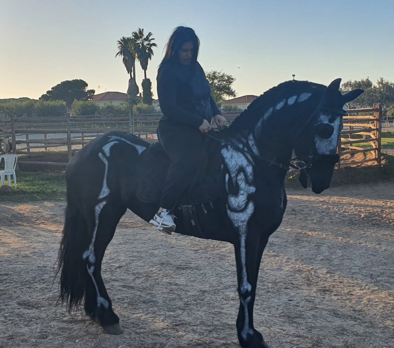 Investe una ragazza a cavallo e scappa, l'appello di Asia dall'ospedale: "Aiutatemi a fare giustizia"