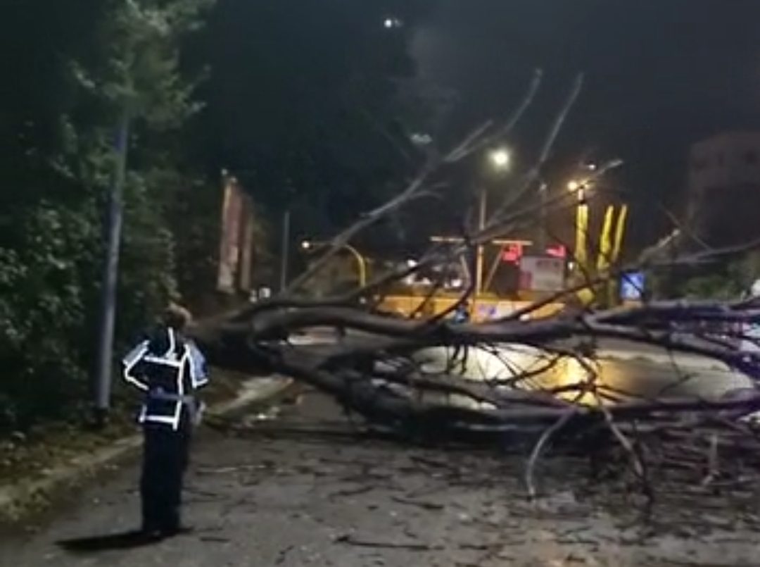 Maltempo Roma, albero cade sull'Aurelia e colpisce taxi in transito