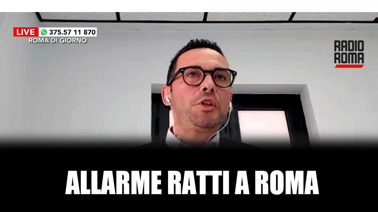 Allarme Ratti A Roma