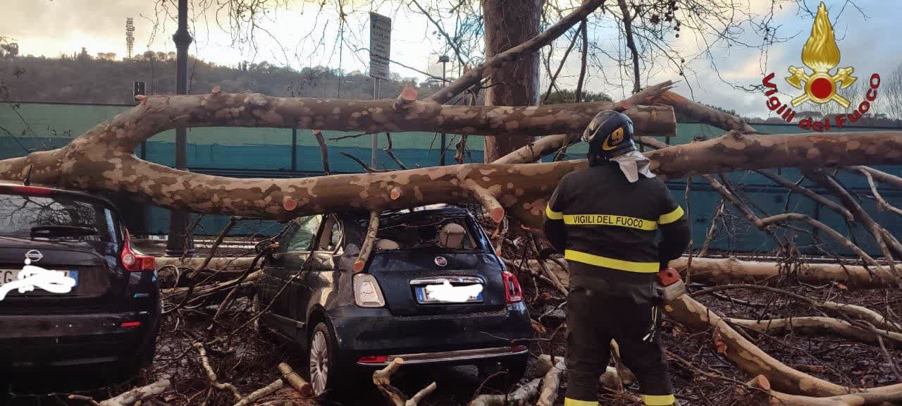Maltempo, albero crolla sulle auto a Roma: danni per una tromba d'aria a Valmontone