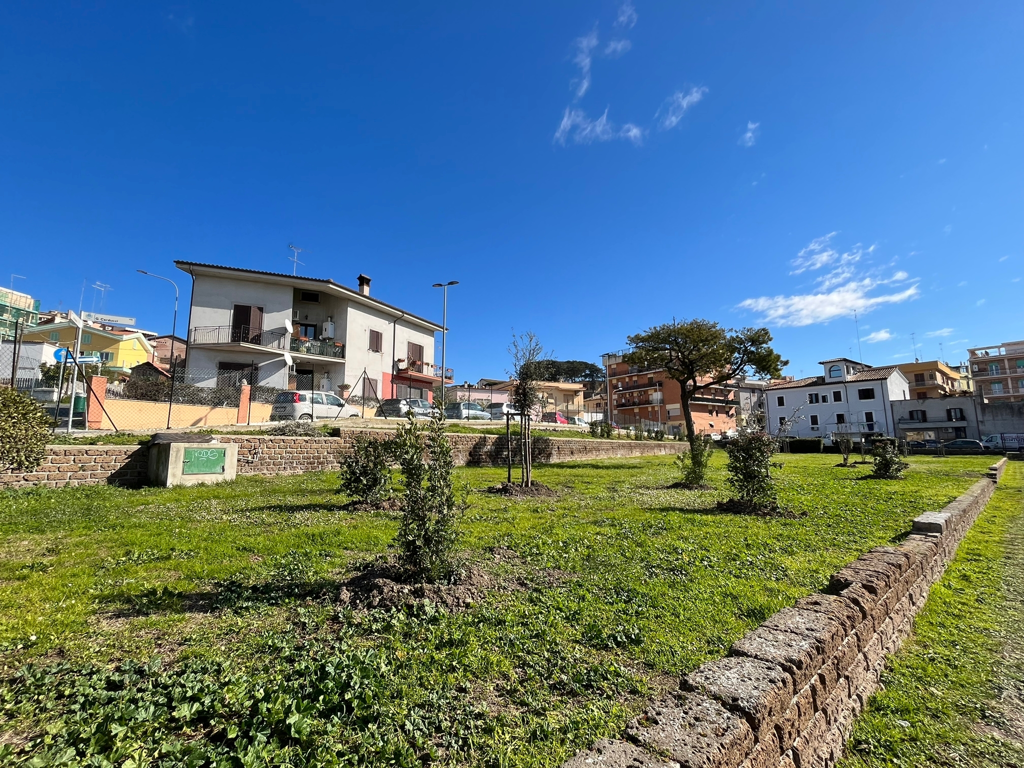 Cerveteri, con il Progetto Ossigeno nuovi alberi ai Parchi Ina Casa e Borsellino