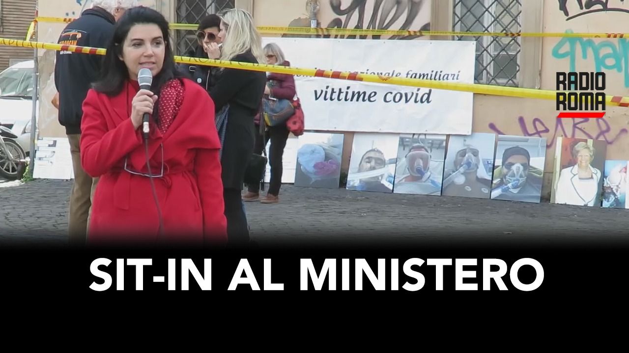Sit-in al Ministero (CNFV)
