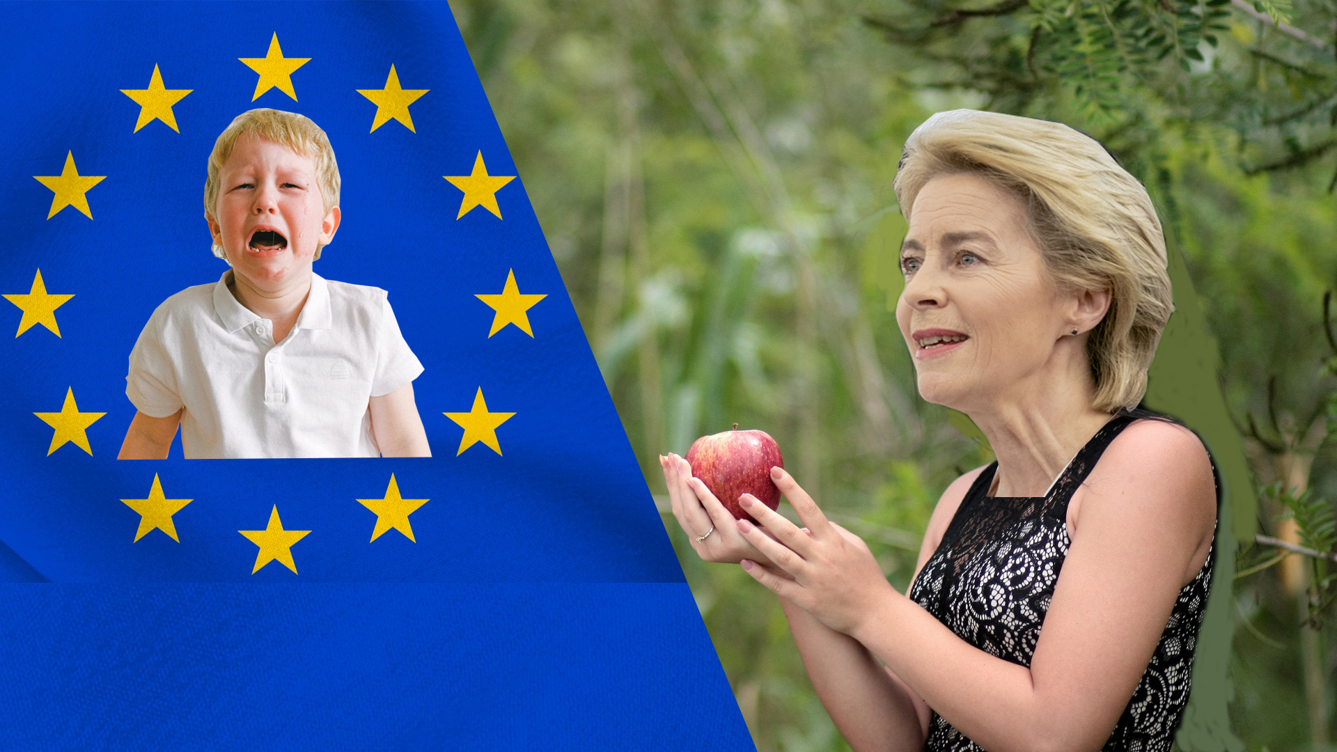 UE: madre o matrigna?