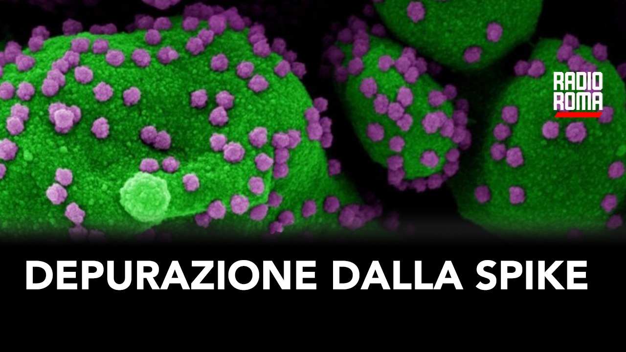 Depurazione dalla spike, microscopia, materiale esogeno (con Tiziano Talamazzi e Matteo Testa, 20/11/2023)