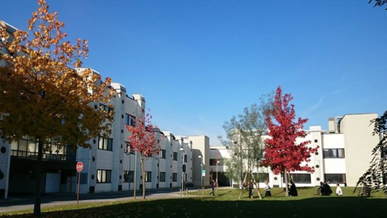 tumore polmone farmaco cnr pisa