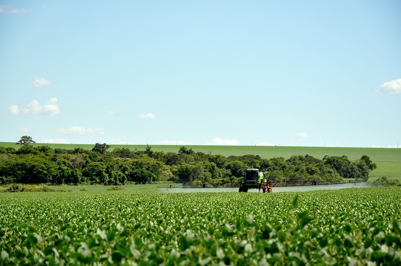'Agricoltura È', Rocca: "Regione Lazio protagonista"