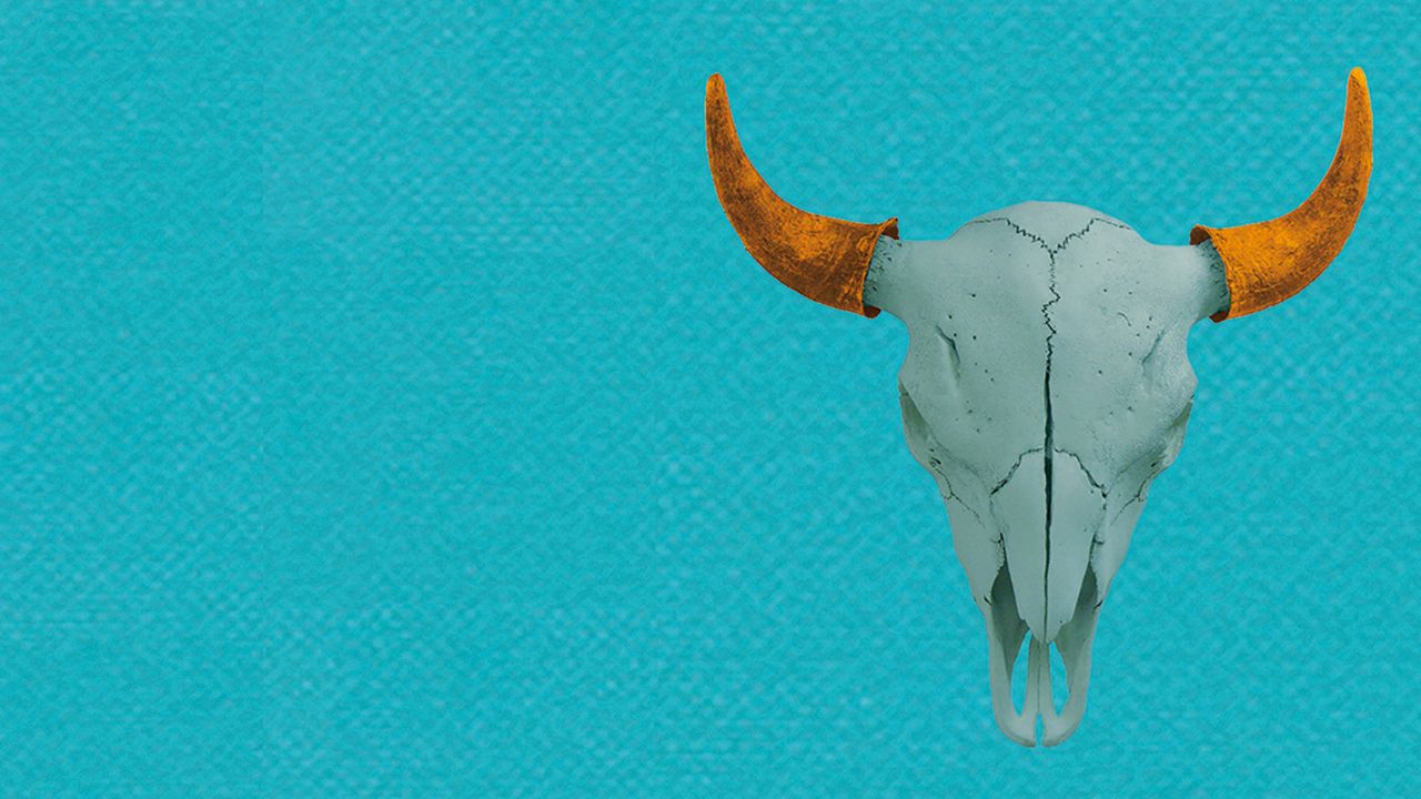 Ritorna "Buffalo", la danza contemporanea al Macro di Roma