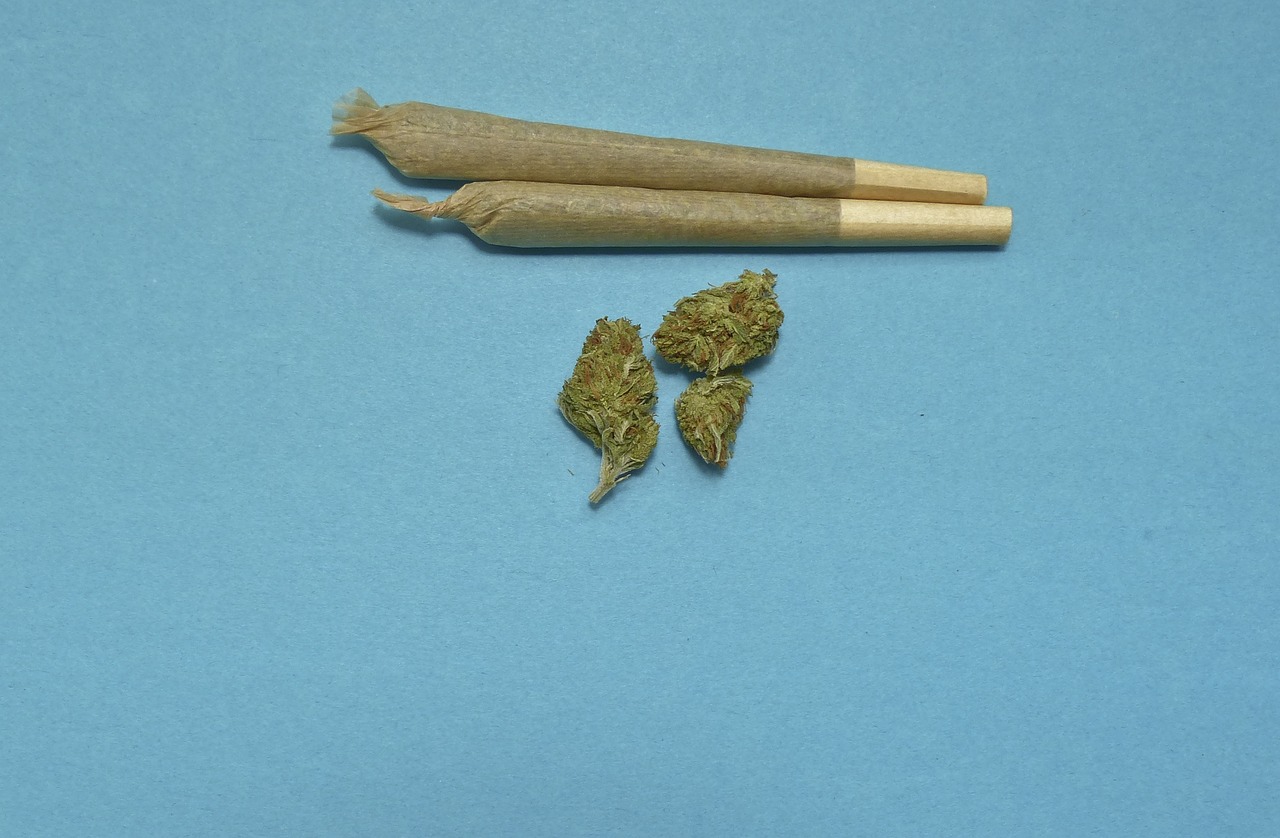 Guidonia, scoperti 414 chili di hashish: arrestato 29enne