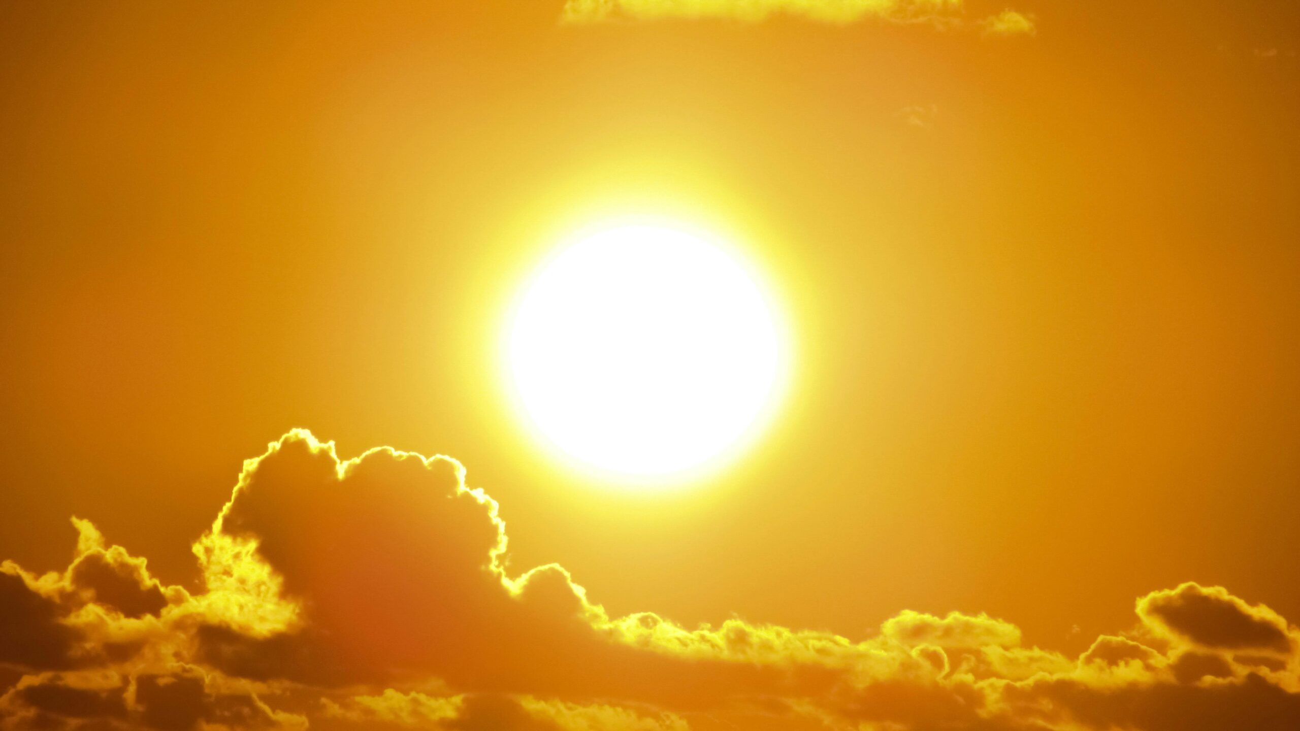 Caldo a Roma: bollino rosso e temperature fino a 38 gradi