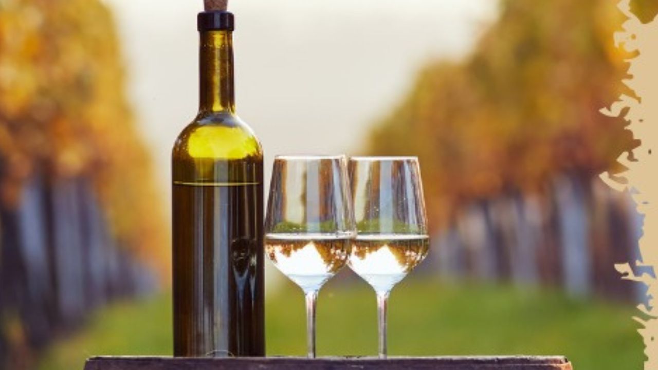Vini Frascati, tutte le nuove denominazioni: evento il 15 luglio