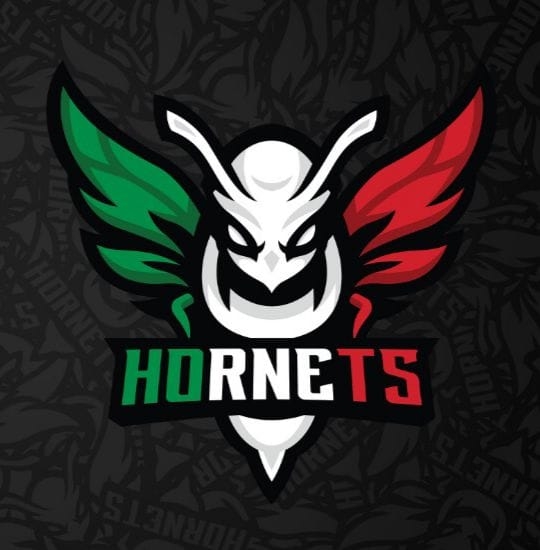 Sporting Hornets Roma, Iannone sulla panchina dell'Under 19
