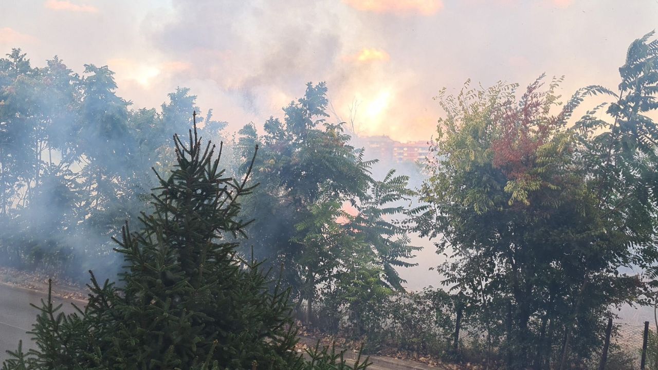 Incendio Tor Cervara, firmata l'ordinanza del sindaco: cosa prevede