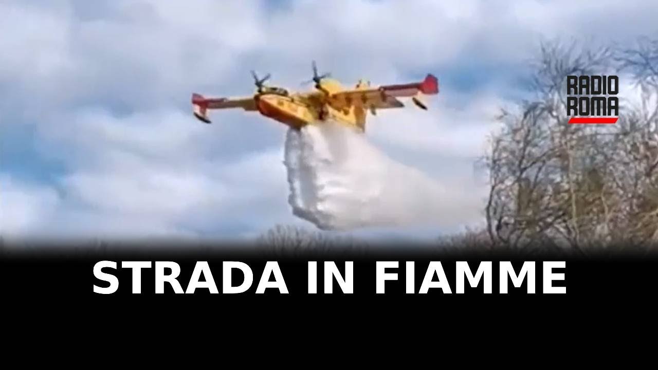 Viterbo, la strada Tuscanese martoriata da incendi