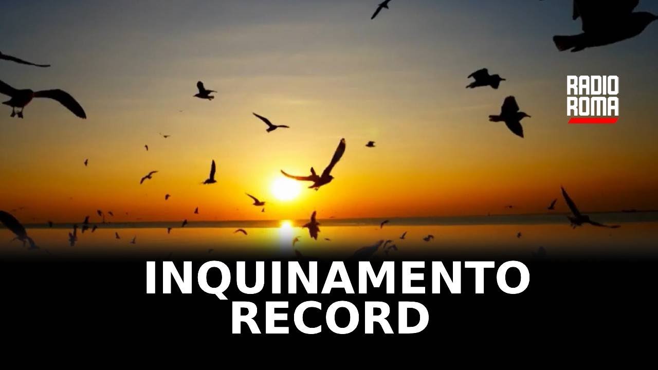 Inquinamento record per il mare del Lazio