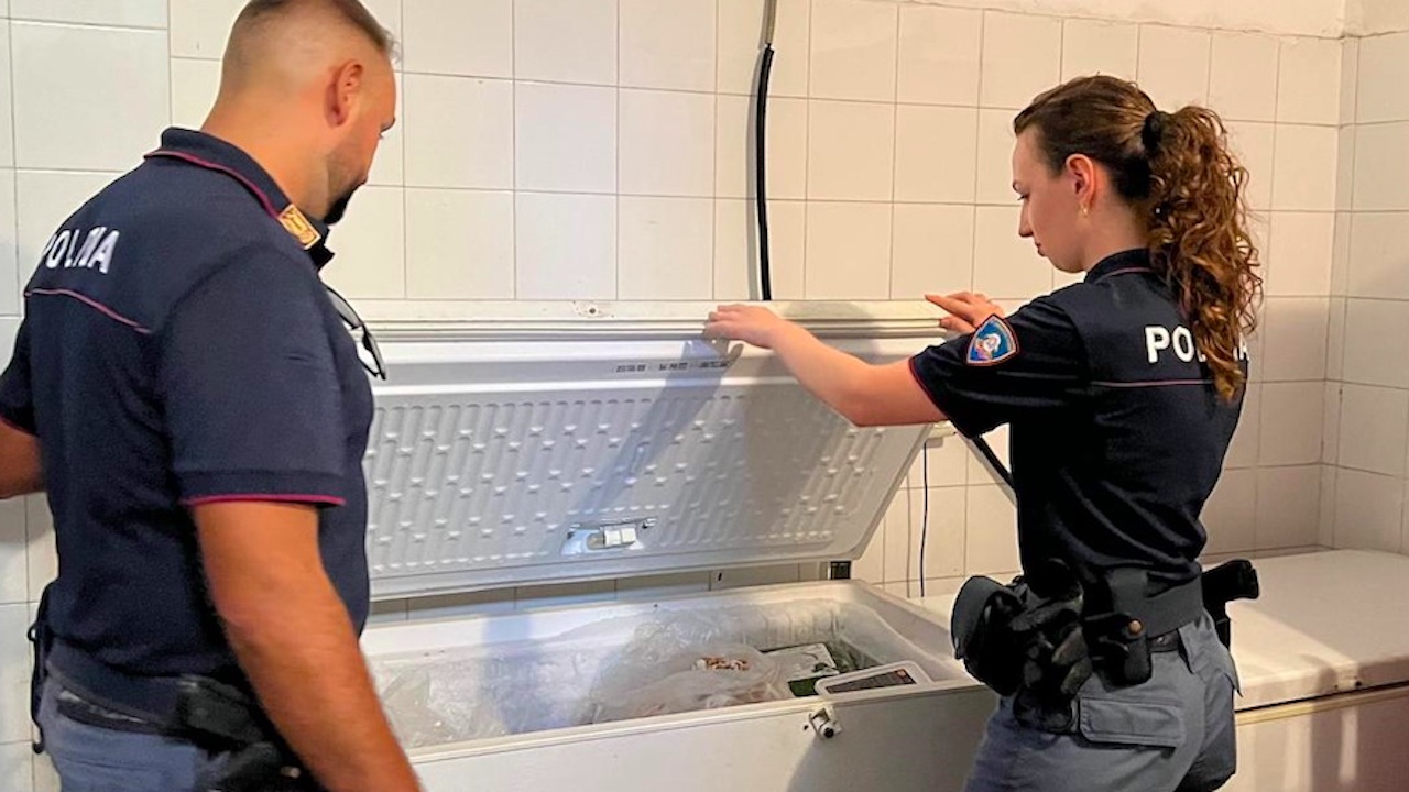 Roma, blatte nel ristorante e videolottery sempre accese: maxi sanzione