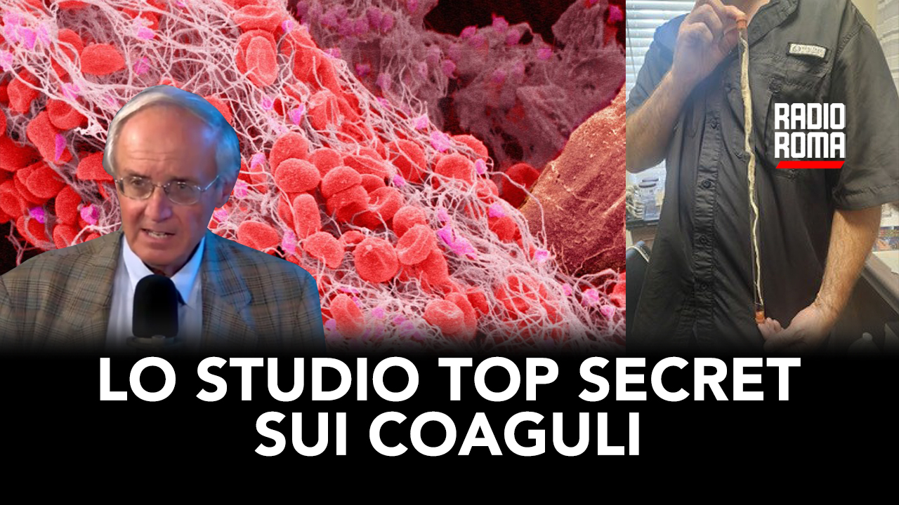 Lo Studio Top Secret sui coaguli (Con S. Sposito) (VIDEO)