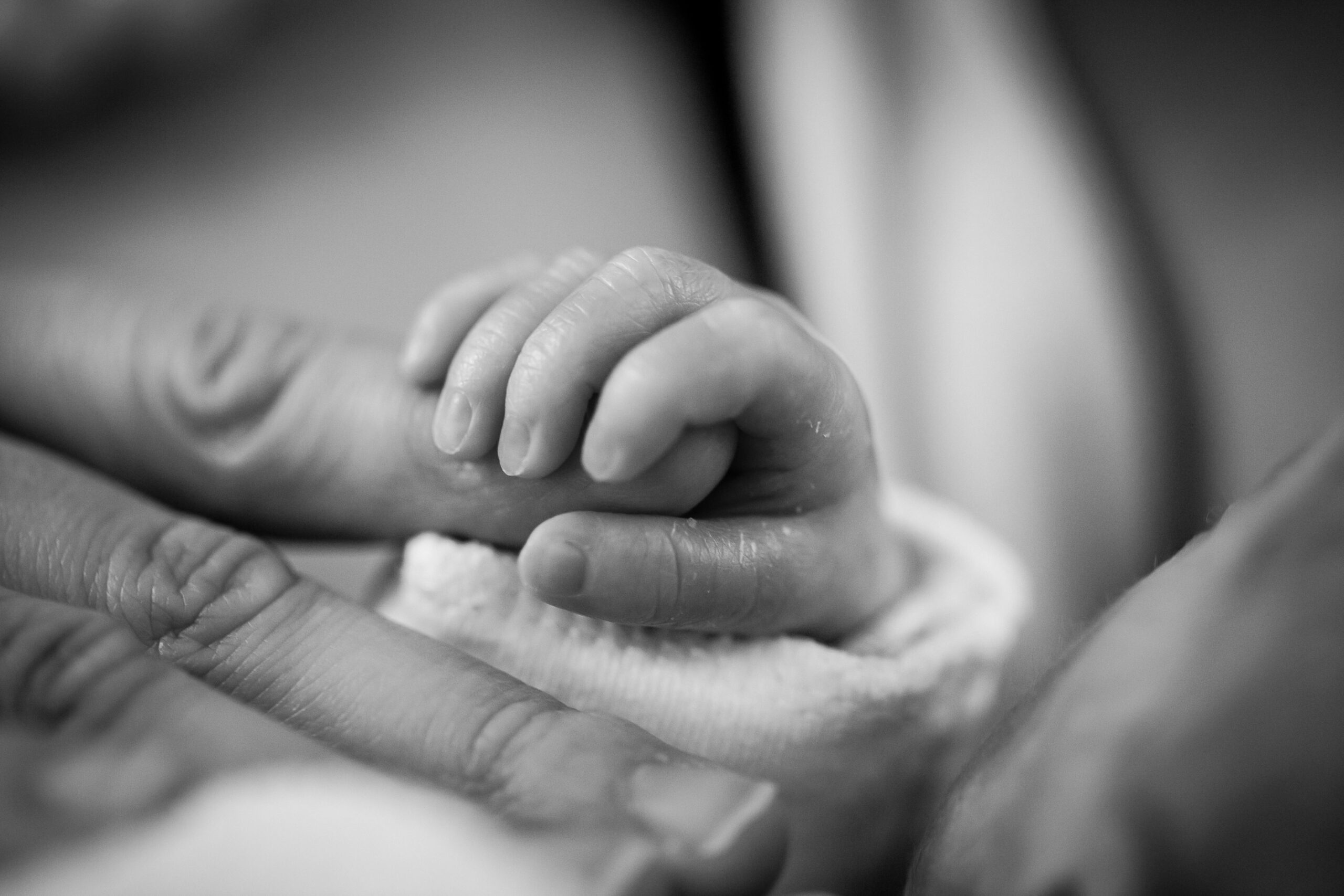 Stati Generali della Natalità, Gualtieri: "Dobbiamo sostenere le famiglie"