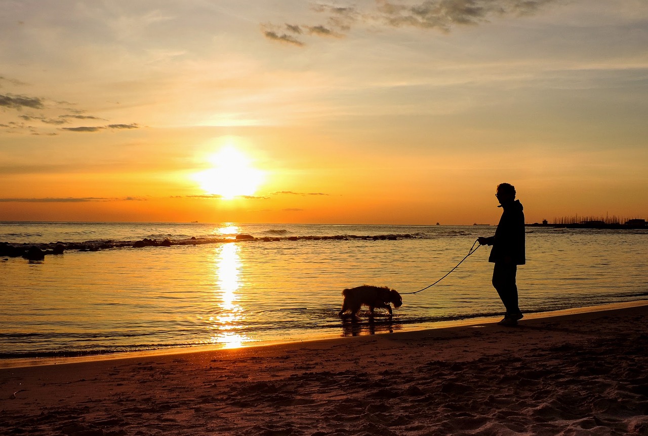 Parco del Mare di Ostia, firmata la convenzione in Campidoglio